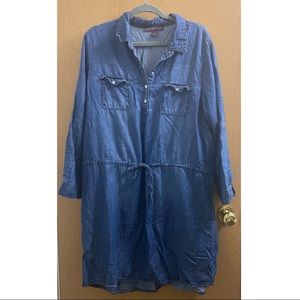 Denim cinch-waist dress